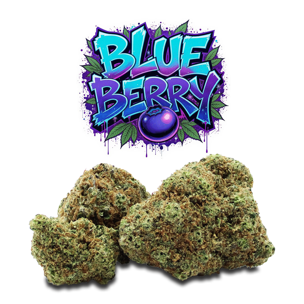 Blueberry - Premium CBD - 26% CBD
