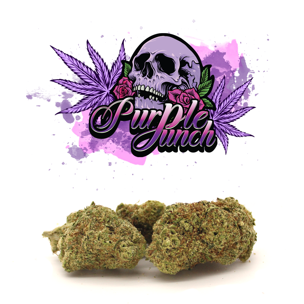 Purple Punch - Premium CBD - 27% CBD