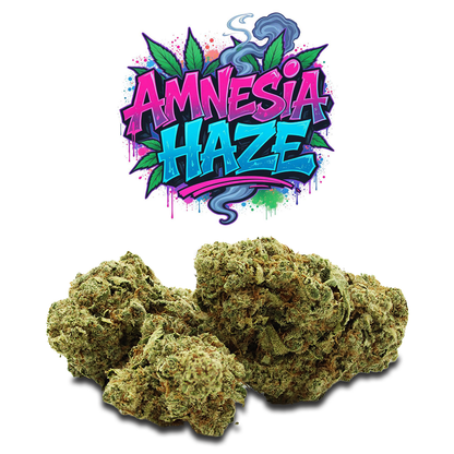 Amnesia Haze - Premium CBD - 33%