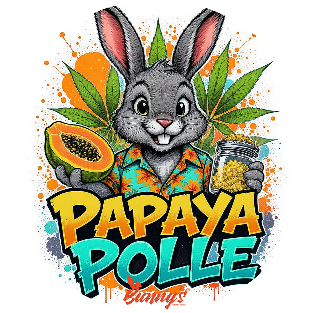 Papaya Hash - Premium CBD - 18%