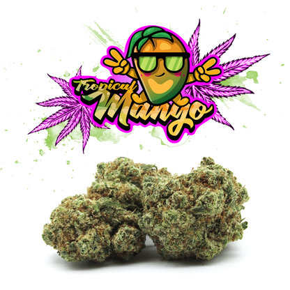 Tropical Mango - Premium CBD - 24%