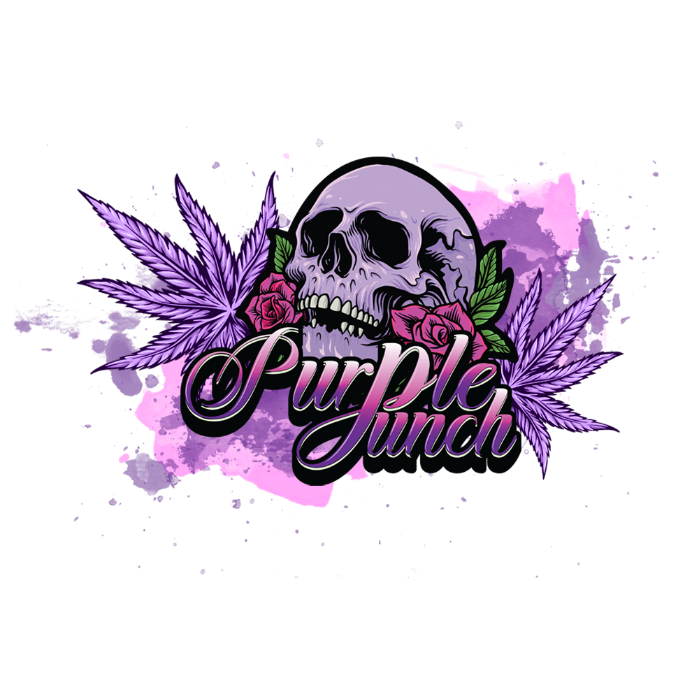 Purple Punch - Premium CBD - 27% CBD