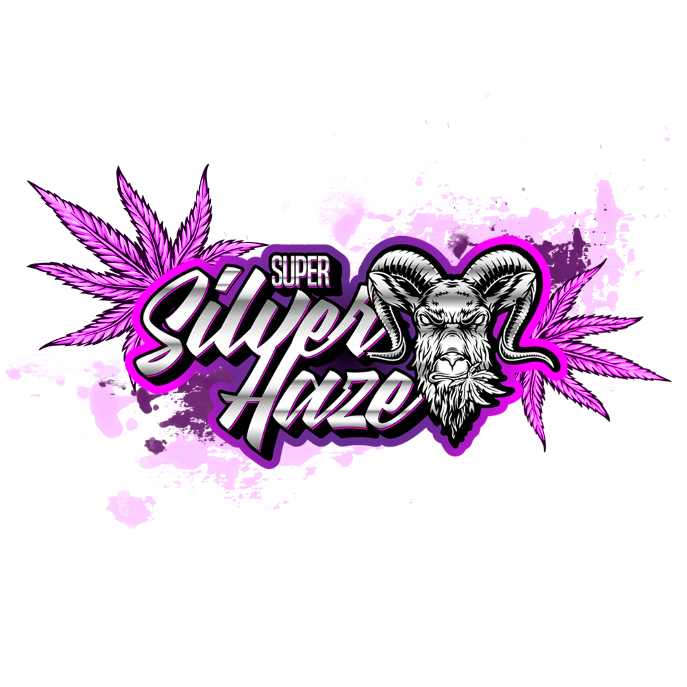 Super Silver Haze - Classic CBD - 25%